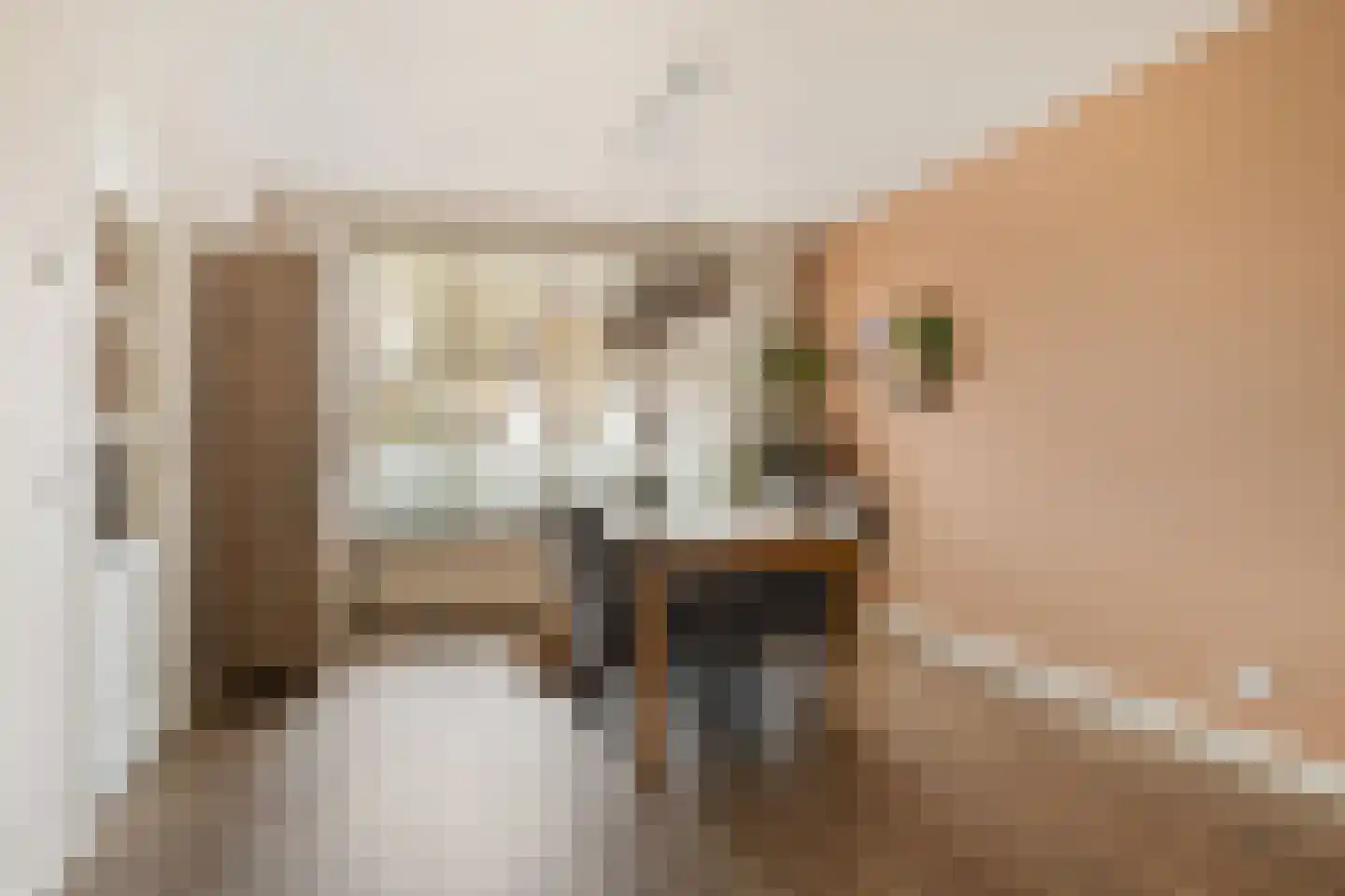 Boxmeerseweg 58 Beugen thumbnail 10