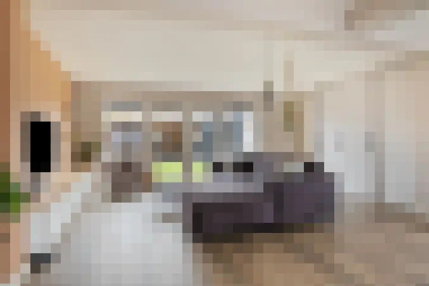 Boxmeerseweg 58 Beugen thumbnail 12