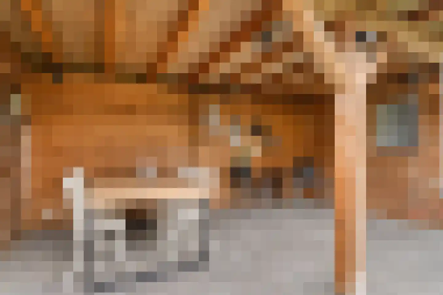 Boxmeerseweg 58 Beugen thumbnail 37