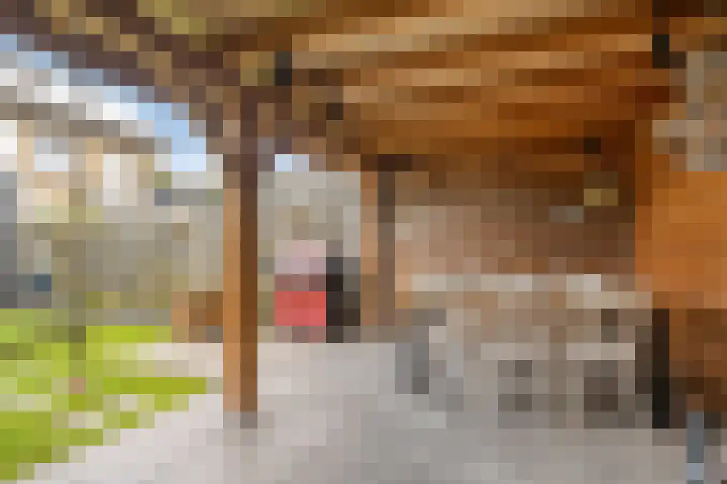 Boxmeerseweg 58 Beugen thumbnail 38