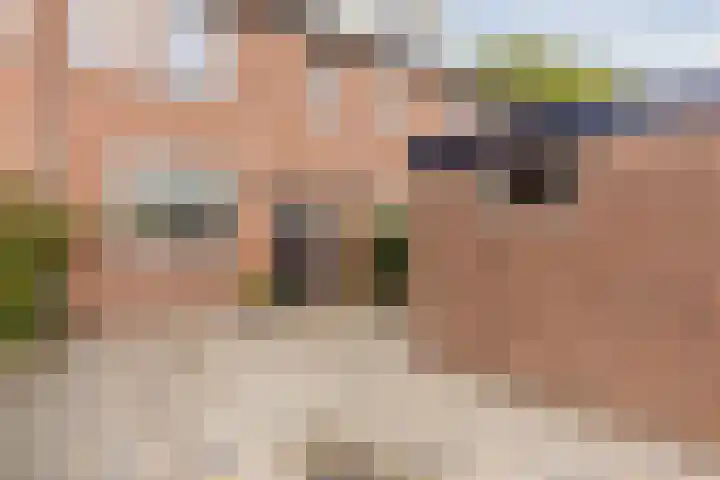 Boxmeerstraat 111 Tilburg thumbnail 28