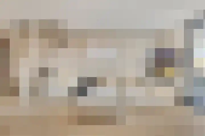 Boxtelplein 23 Almere thumbnail 13