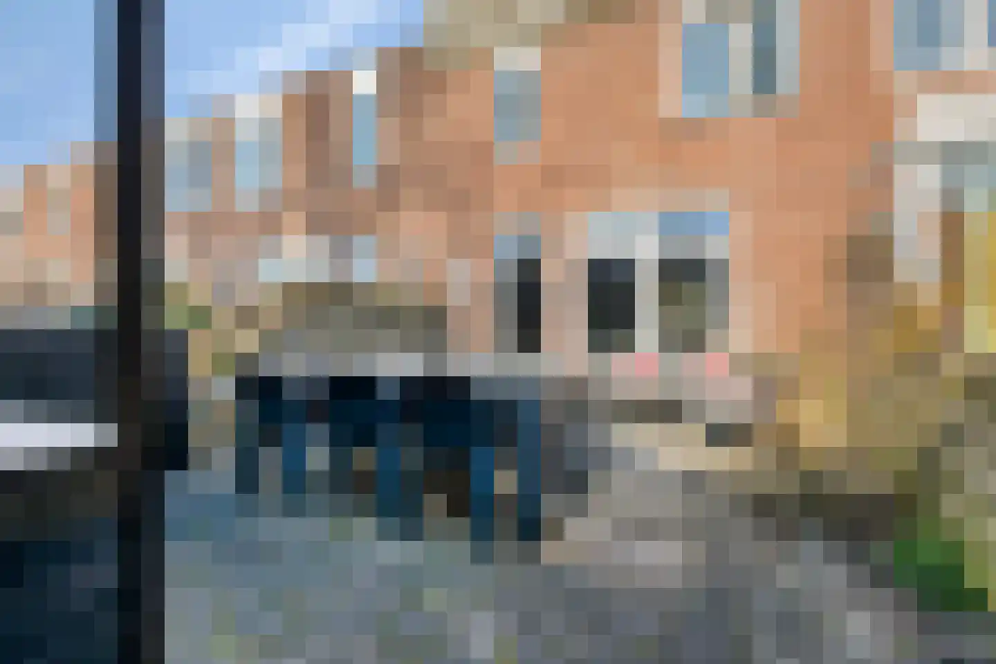 Boxtelplein 23 Almere thumbnail 39
