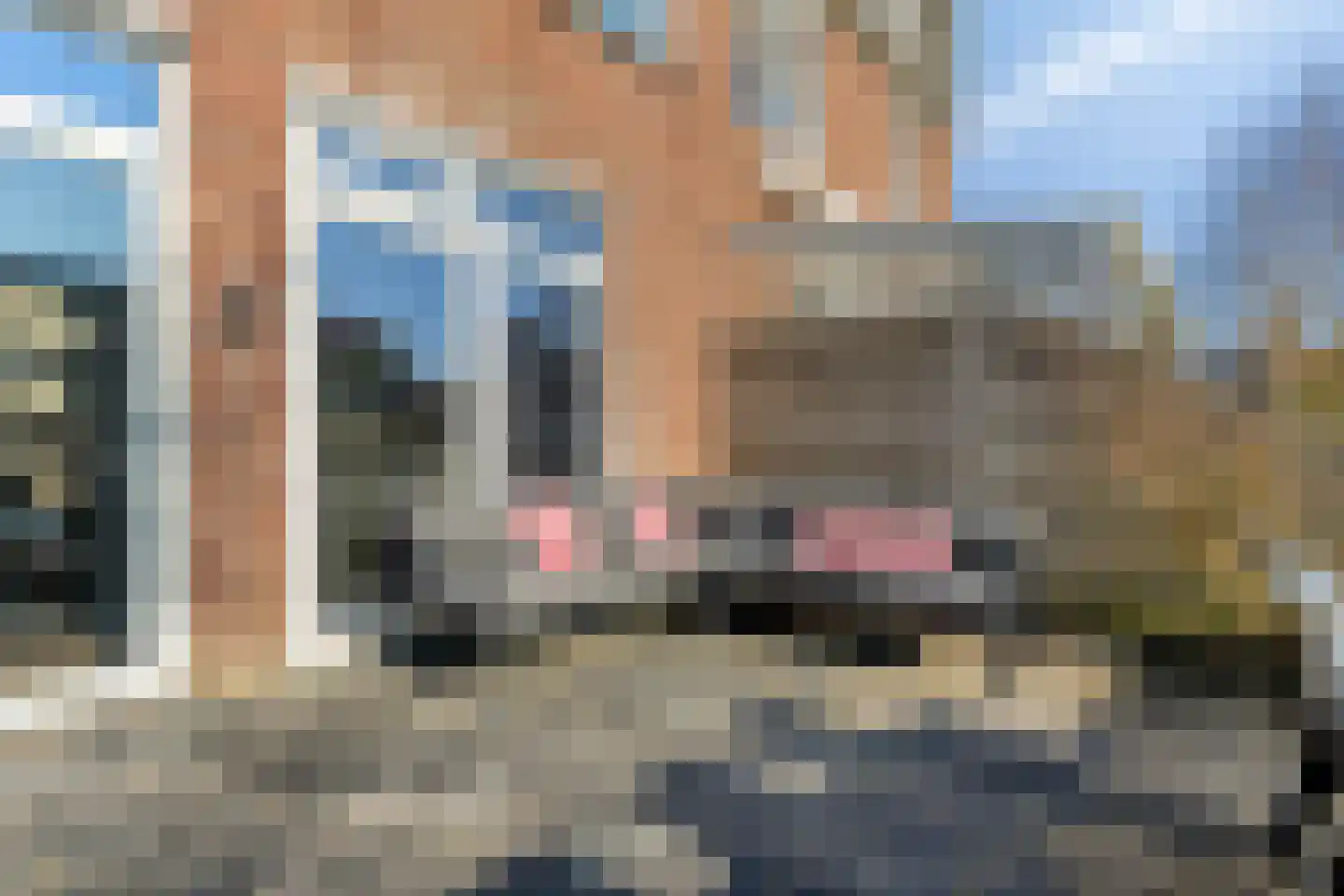 Boxtelplein 23 Almere thumbnail 40