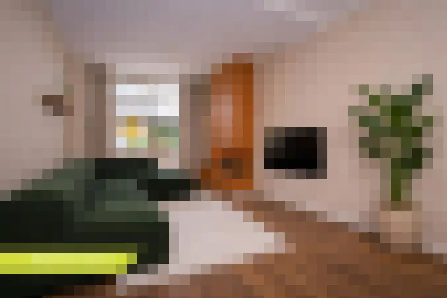 Boxtelsebaan 37 Oisterwijk thumbnail 13