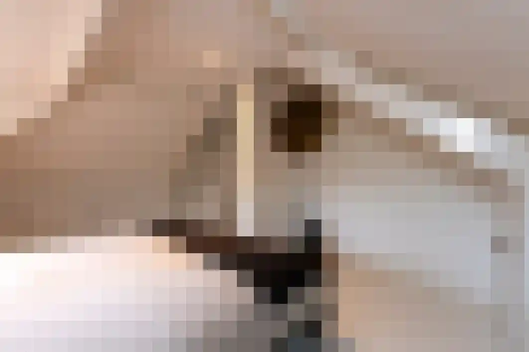 Boxtelsebaan 37 Oisterwijk thumbnail 42
