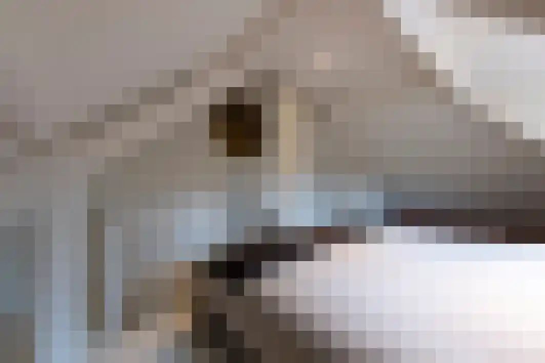 Boxtelsebaan 37 Oisterwijk thumbnail 43