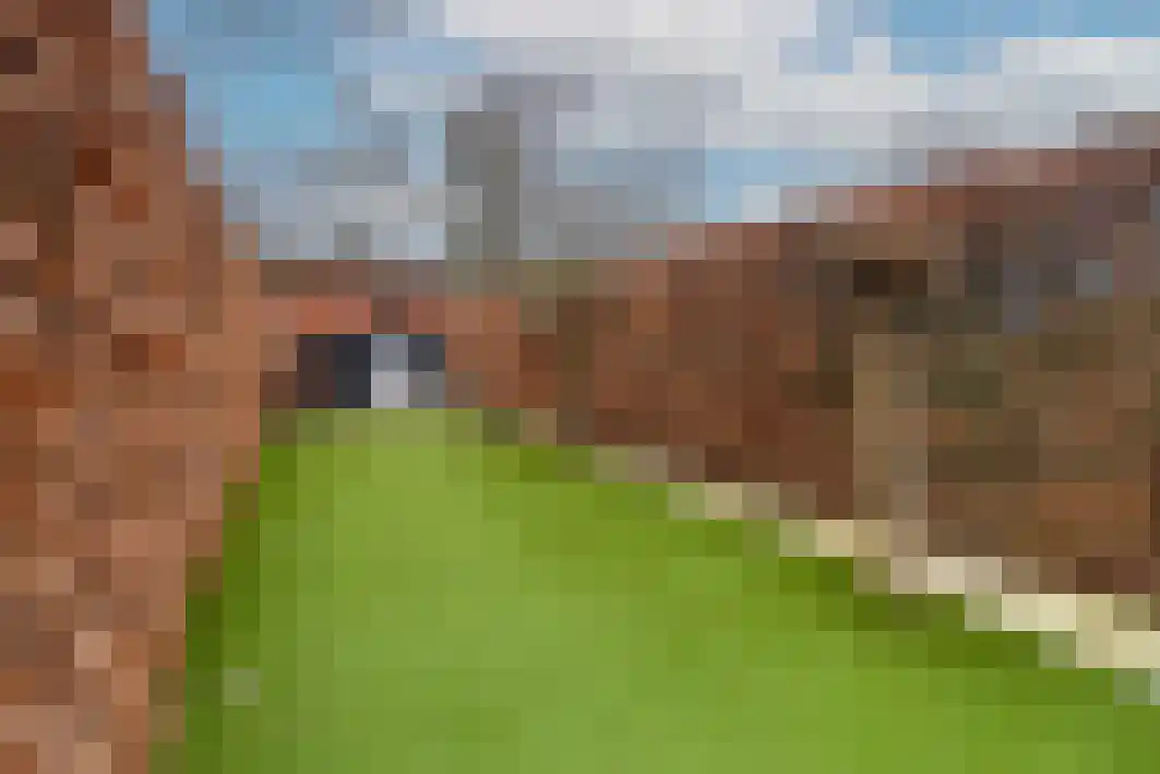 Boxtelsebaan 37 Oisterwijk thumbnail 50
