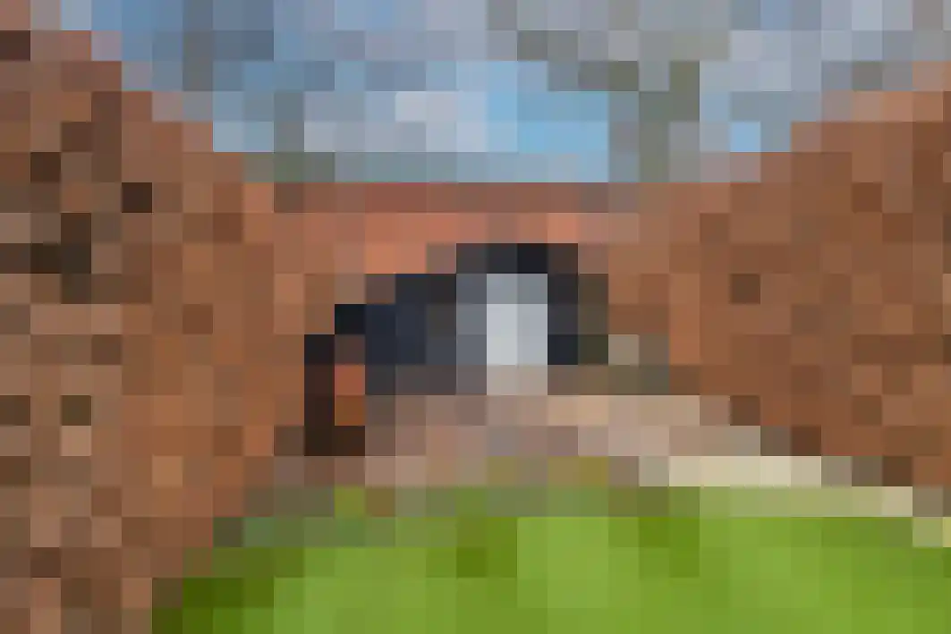 Boxtelsebaan 37 Oisterwijk thumbnail 51