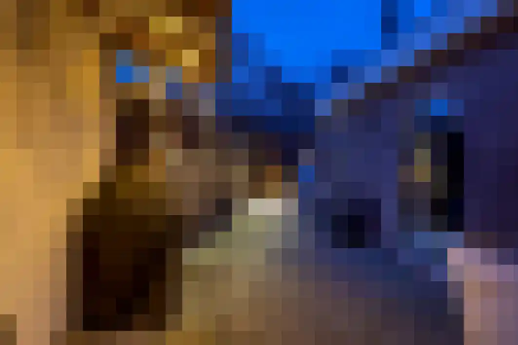 Boxtelsebaan 37 Oisterwijk thumbnail 56