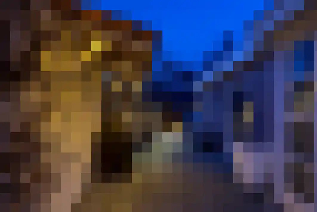 Boxtelsebaan 37 Oisterwijk thumbnail 57