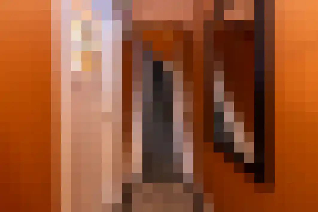 Boxtelsebaan 37 Oisterwijk thumbnail 8