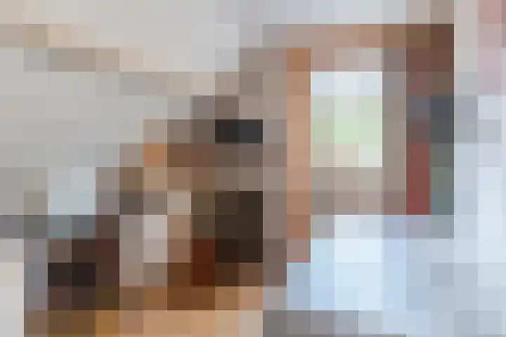 Boxtelsebaan 43 Oisterwijk thumbnail 22