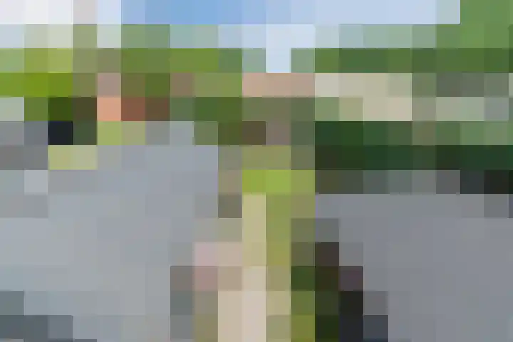 Boxtelsebaan 43 Oisterwijk thumbnail 32