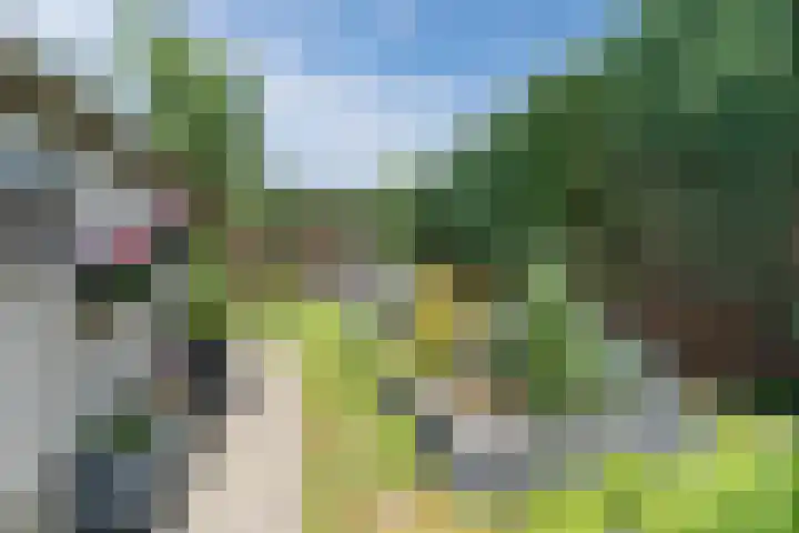 Boxtelsebaan 43 Oisterwijk thumbnail 34