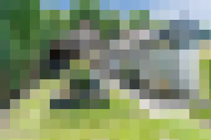 Boxtelsebaan 43 Oisterwijk thumbnail 37