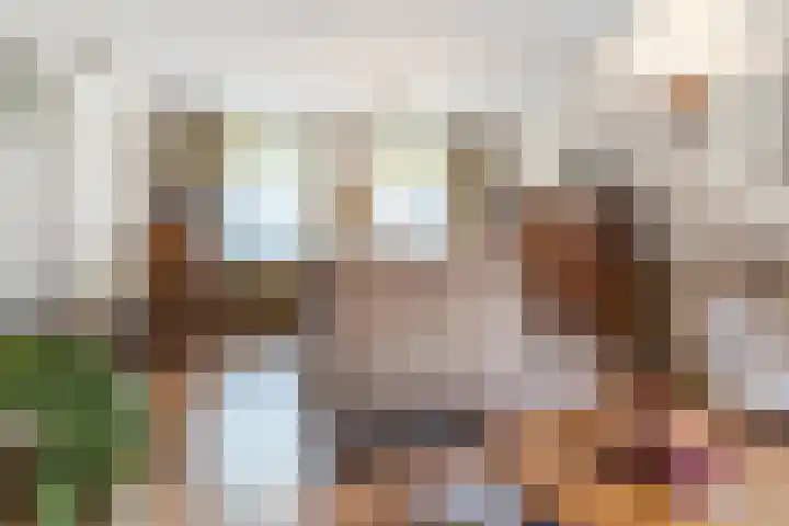 Boxtelsebaan 43 Oisterwijk thumbnail 4