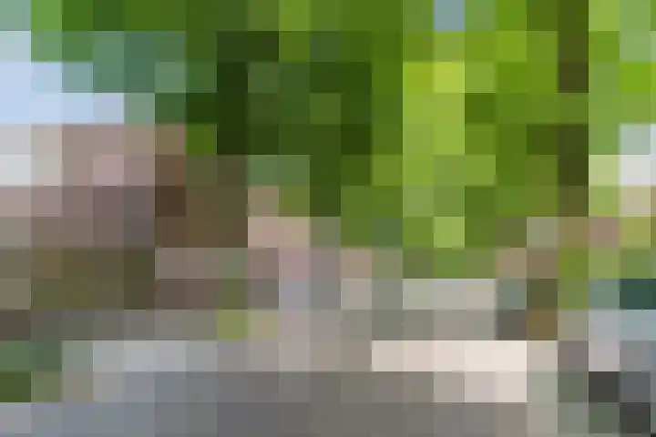 Boxtelsebaan 43 Oisterwijk thumbnail 44