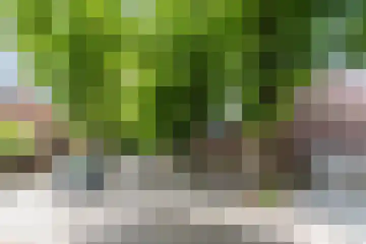 Boxtelsebaan 43 Oisterwijk thumbnail 45