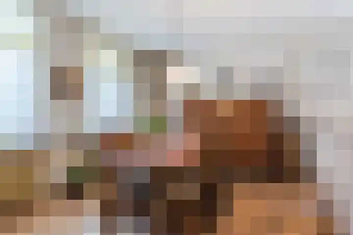 Boxtelsebaan 43 Oisterwijk thumbnail 7