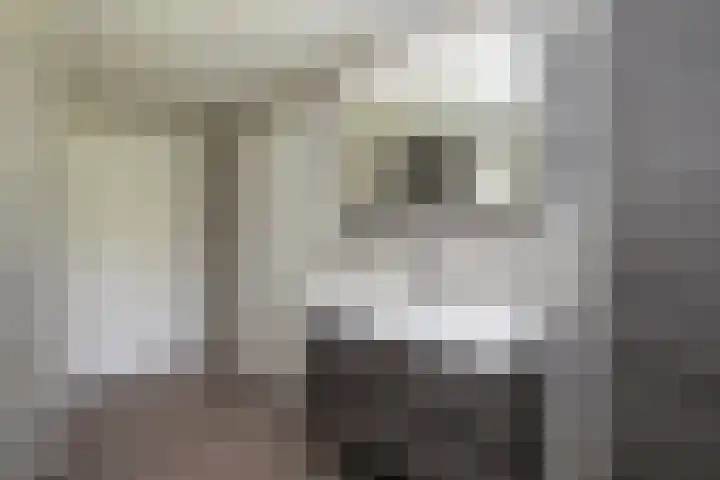 Boxtelsebaan 51 Oisterwijk thumbnail 21