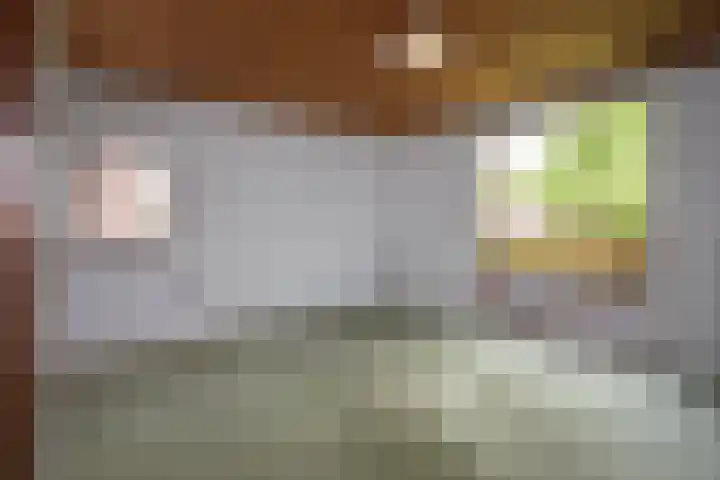 Boxtelsebaan 51 Oisterwijk thumbnail 22