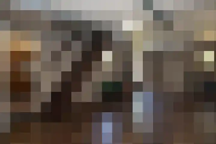 Boxtelsebaan 51 Oisterwijk thumbnail 31