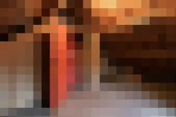 Boxtelsebaan 51 Oisterwijk thumbnail 32