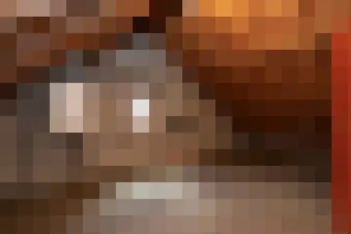 Boxtelsebaan 51 Oisterwijk thumbnail 33