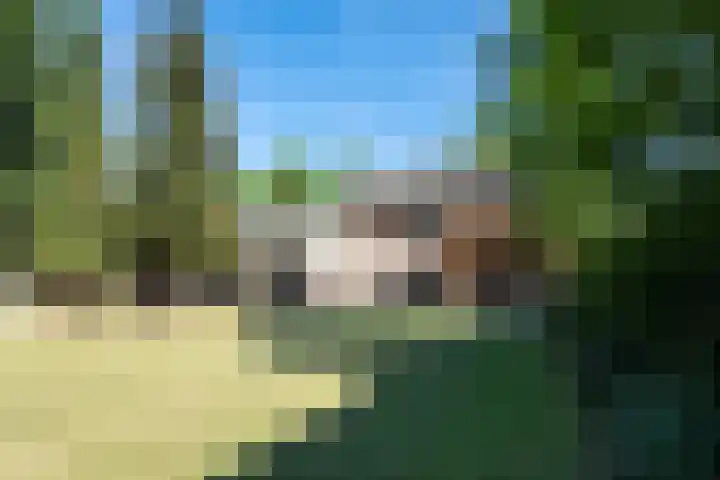 Boxtelsebaan 51 Oisterwijk thumbnail 34