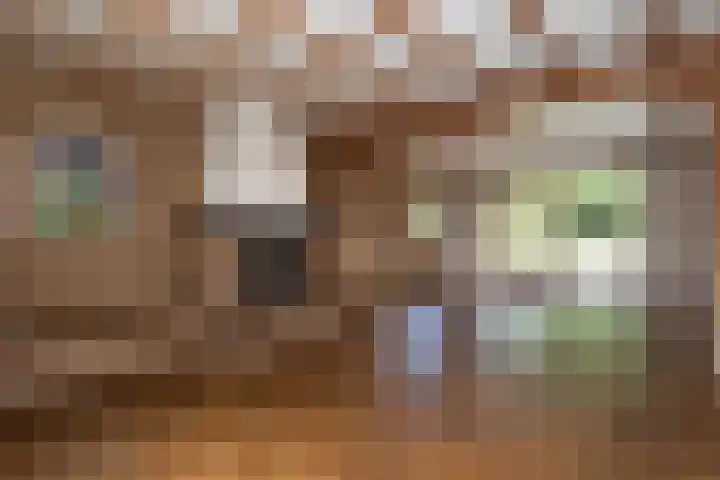 Boxtelsebaan 51 Oisterwijk thumbnail 4