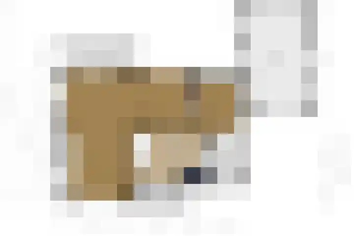 Boxtelsebaan 51 Oisterwijk thumbnail 41
