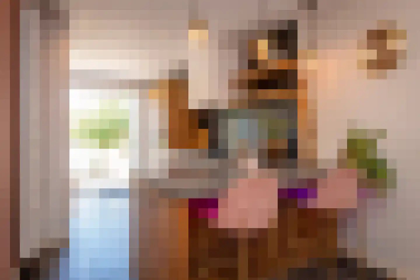 Boxtelsebaan 95 Oisterwijk thumbnail 10