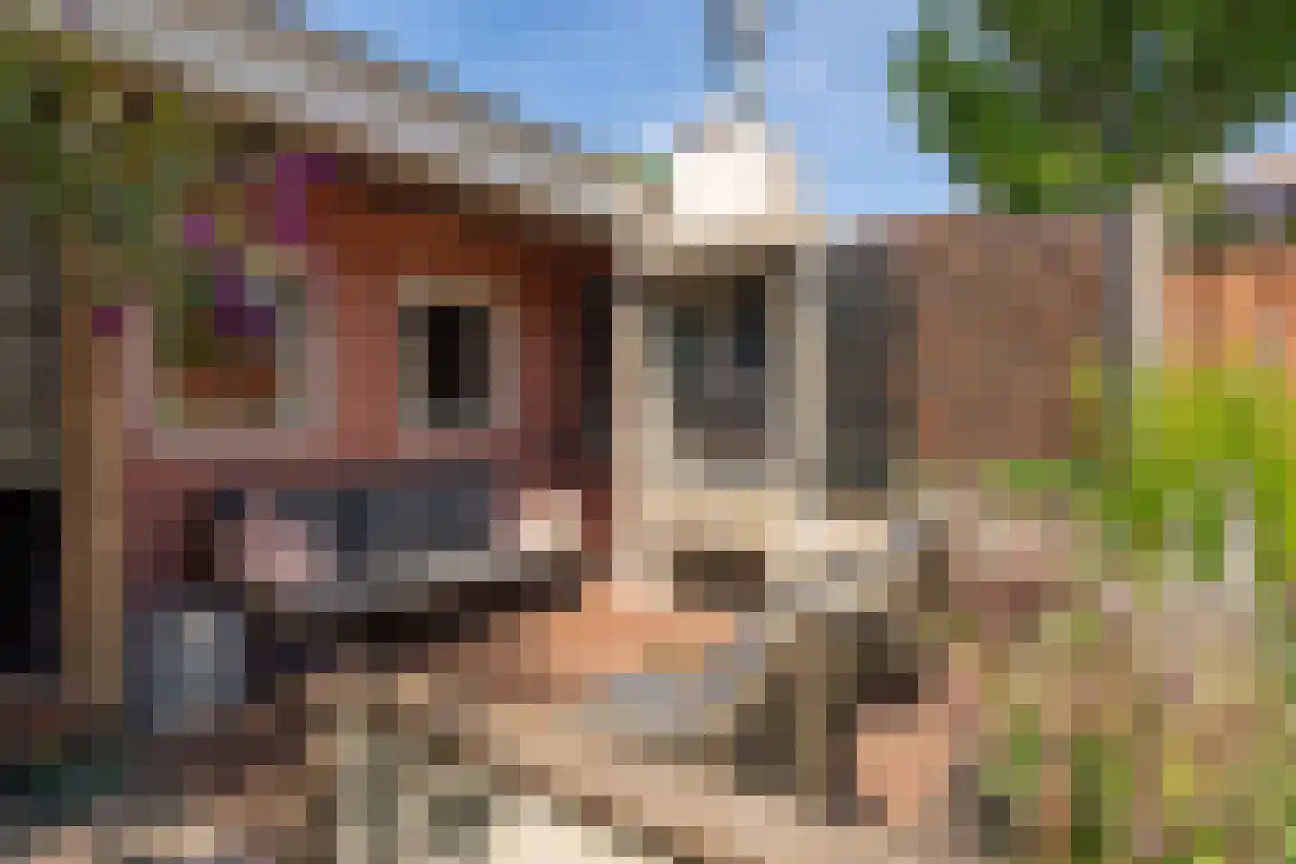 Boxtelsebaan 95 Oisterwijk thumbnail 29