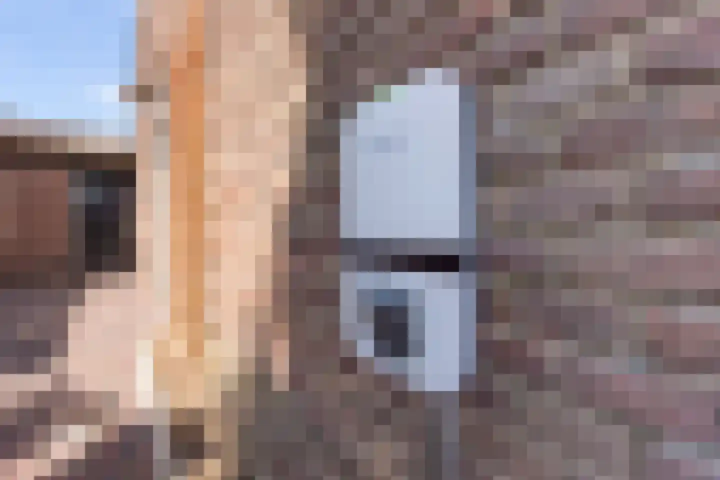 Boxtelsebaan 95 Oisterwijk thumbnail 4