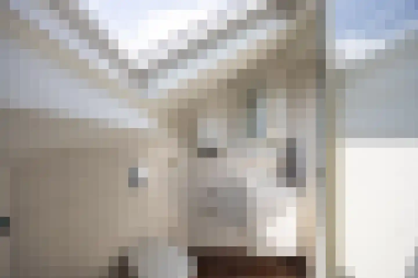 Boxtelseweg 10 C Vught thumbnail 32