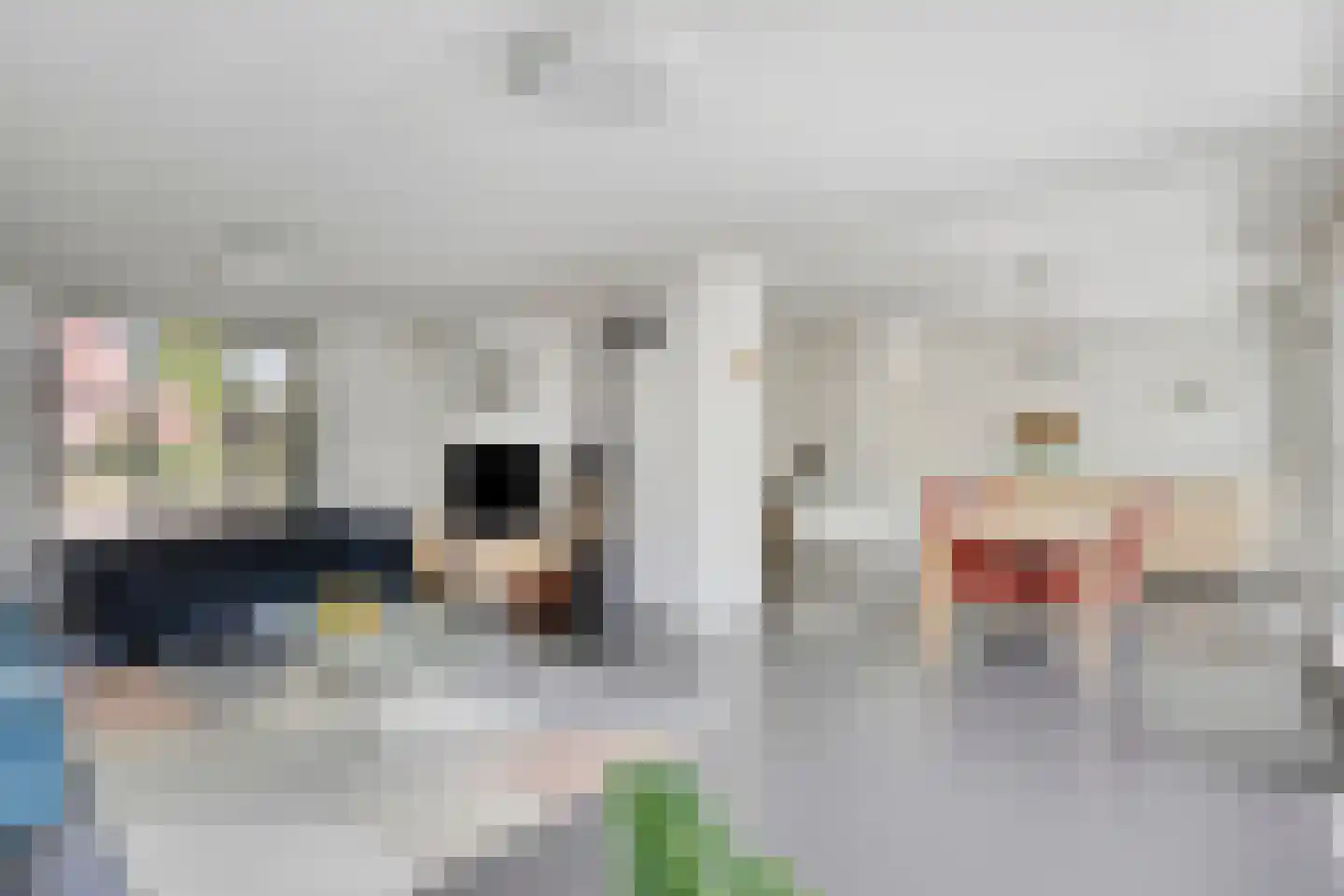 Boxtelseweg 11 Liempde thumbnail 13