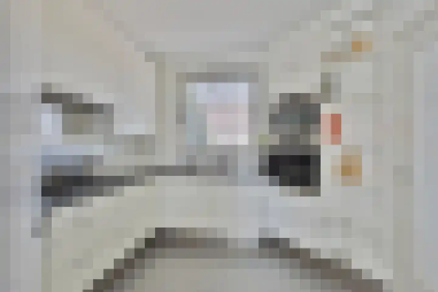Boxtelseweg 11 Liempde thumbnail 17
