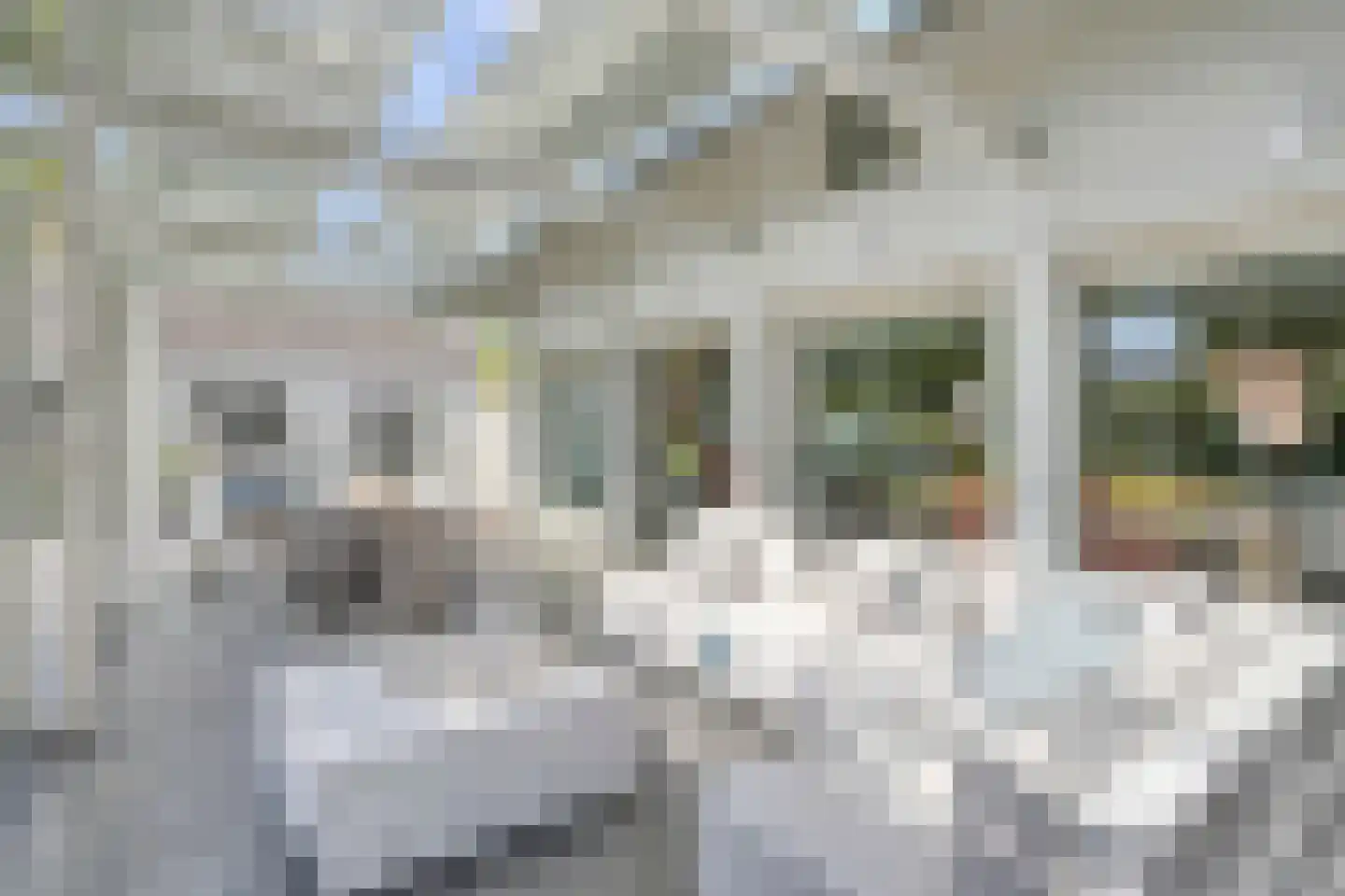 Boxtelseweg 11 Liempde thumbnail 21