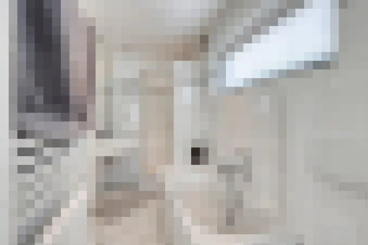 Boxtelseweg 11 Liempde thumbnail 25