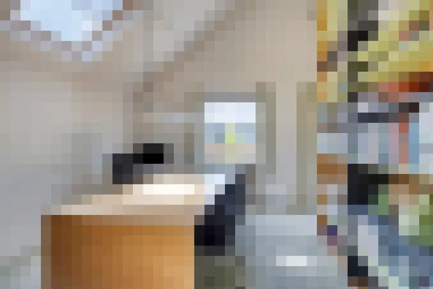 Boxtelseweg 11 Liempde thumbnail 38