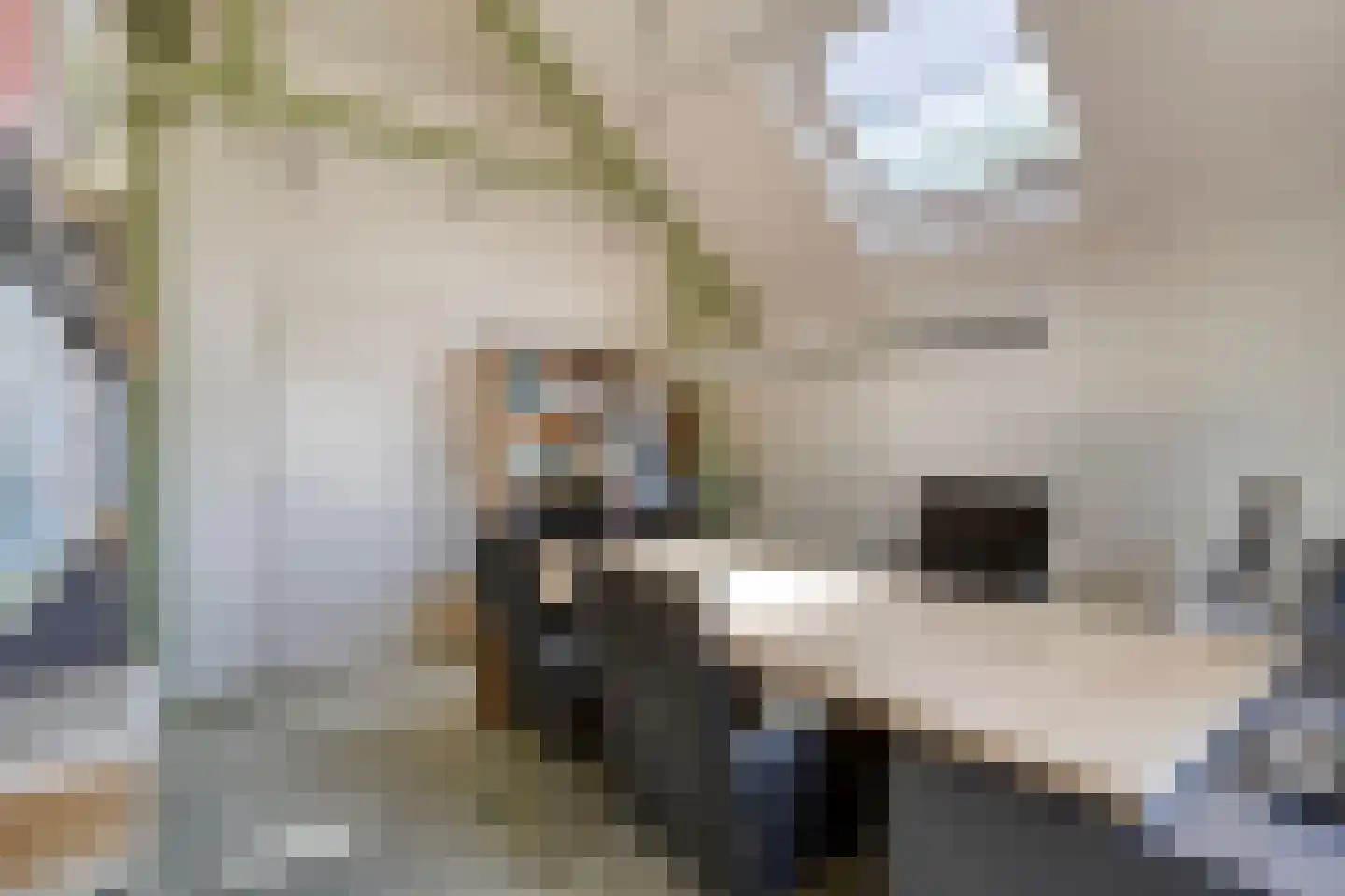 Boxtelseweg 11 Liempde thumbnail 39
