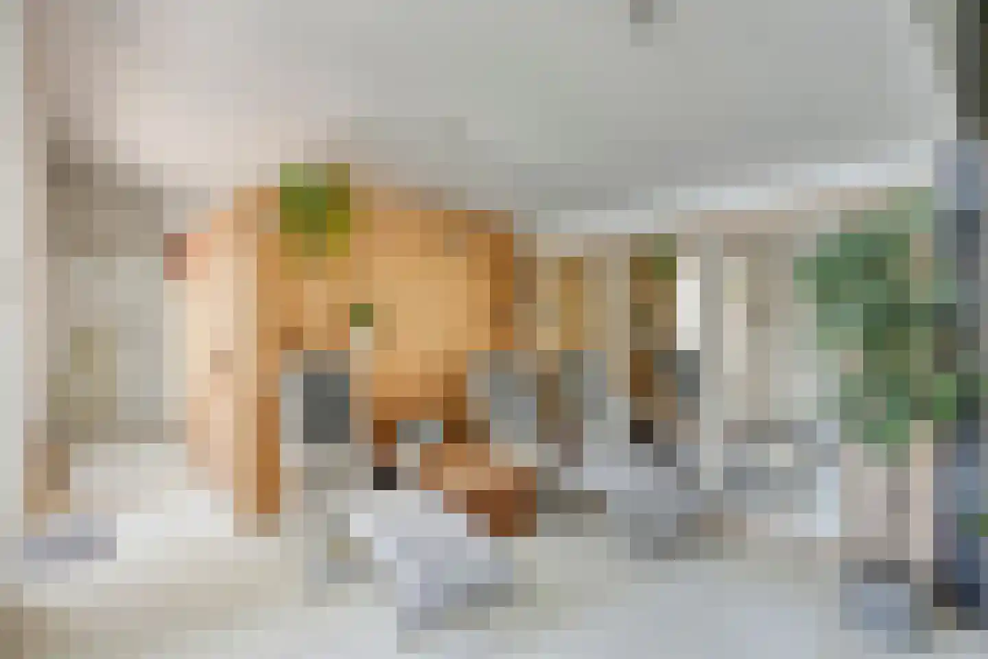 Boxtelseweg 11 Liempde thumbnail 43