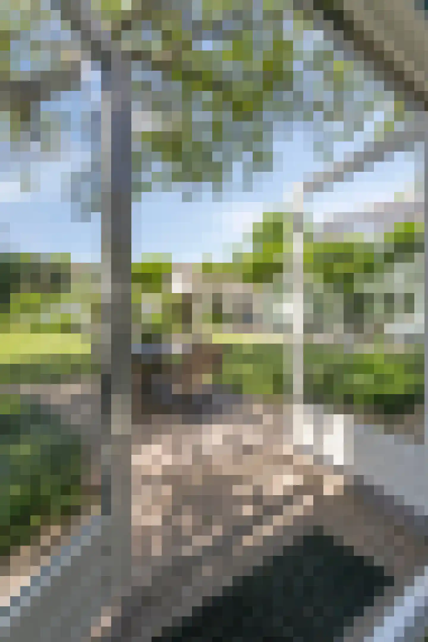 Boxtelseweg 11 Liempde thumbnail 47