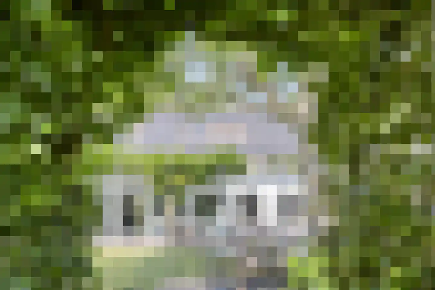 Boxtelseweg 11 Liempde thumbnail 60