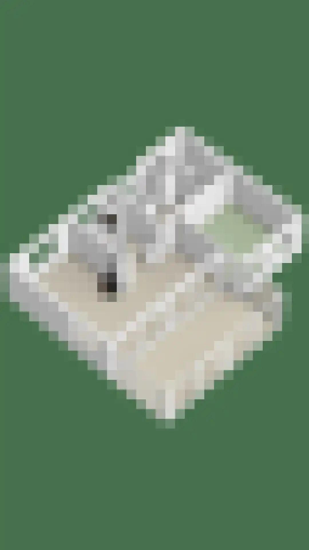 Boxtelseweg 11 Liempde thumbnail 61