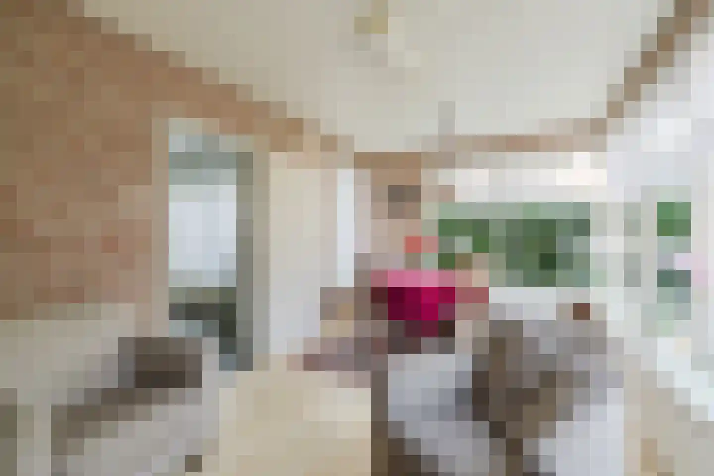 Boxtelseweg 7 a Liempde thumbnail 19