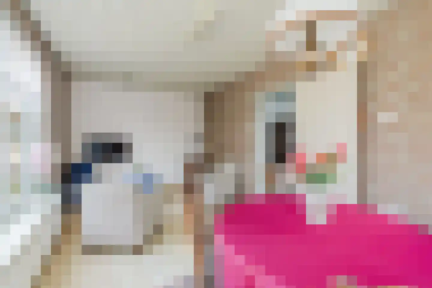 Boxtelseweg 7 a Liempde thumbnail 20