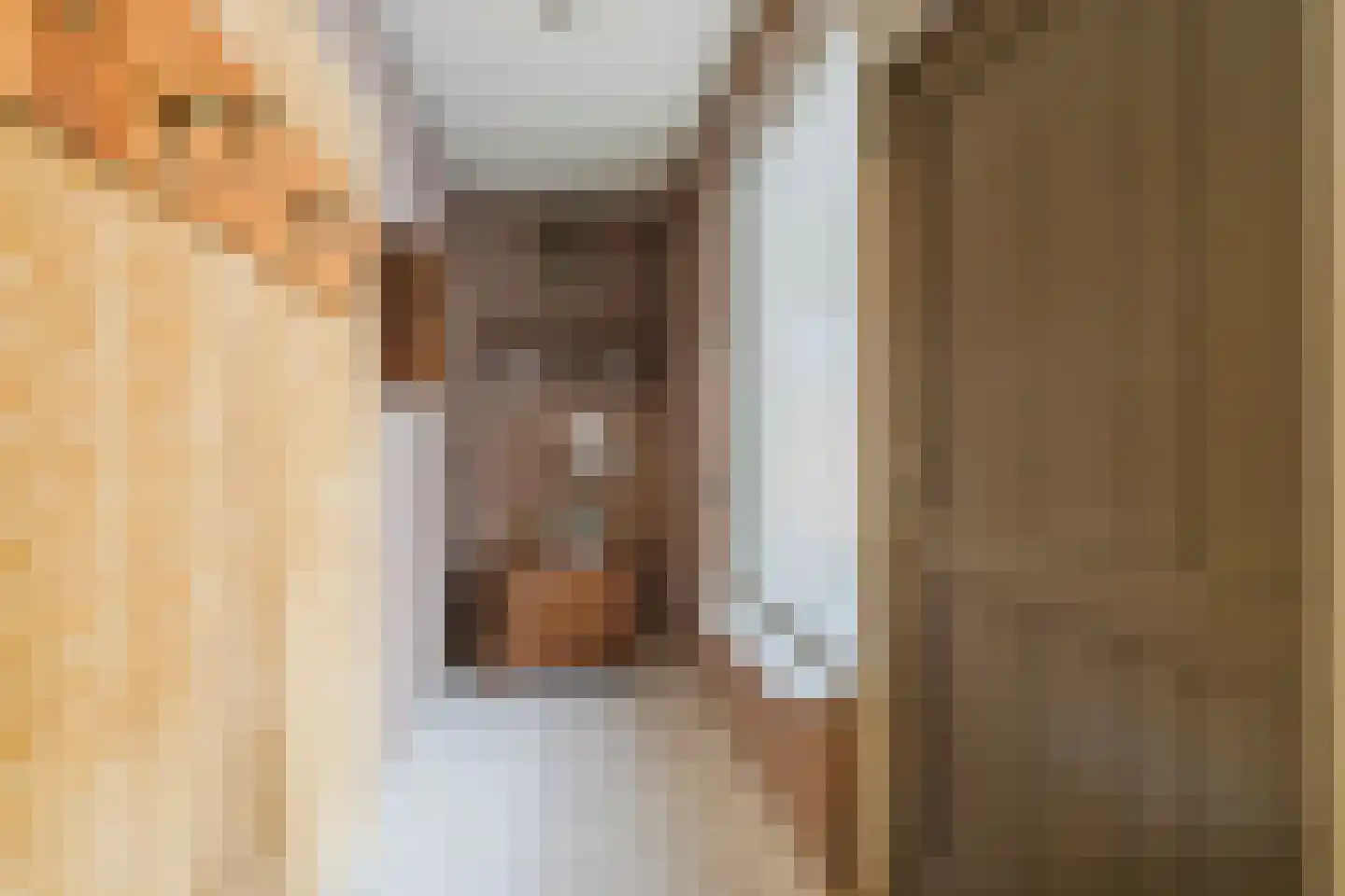 Boxtelseweg 7 a Liempde thumbnail 22