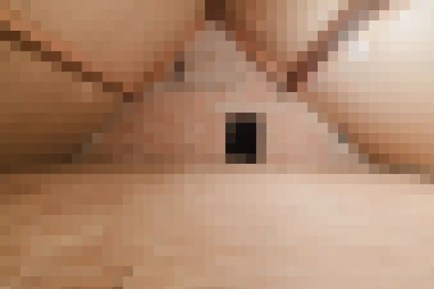 Boxtelseweg 7 a Liempde thumbnail 44